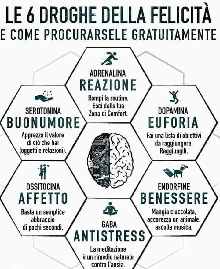 Ormoni della felicità